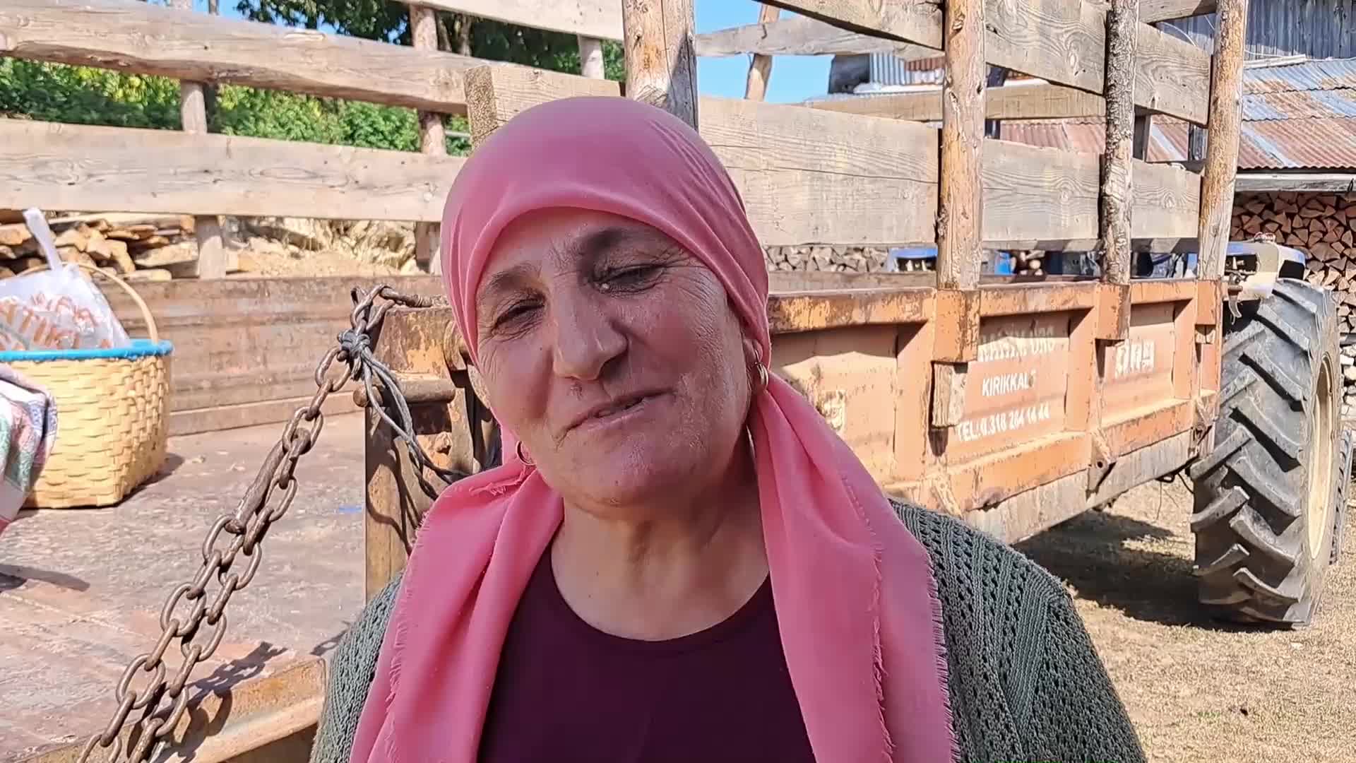 ARTVİN ARDANUÇTA ATIL KALAN TARIM ARAZİLERİ, KADINLAR TARAFINDAN İMECEYLE LAVANTA BAHÇELERİNE DÖNÜŞTÜRÜLÜYOR