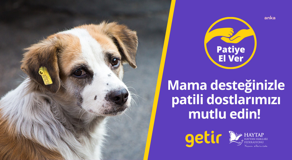 GETİR’DEN HAYVAN BARINAKLARINA 1,5 MİLYON KAP MAMA