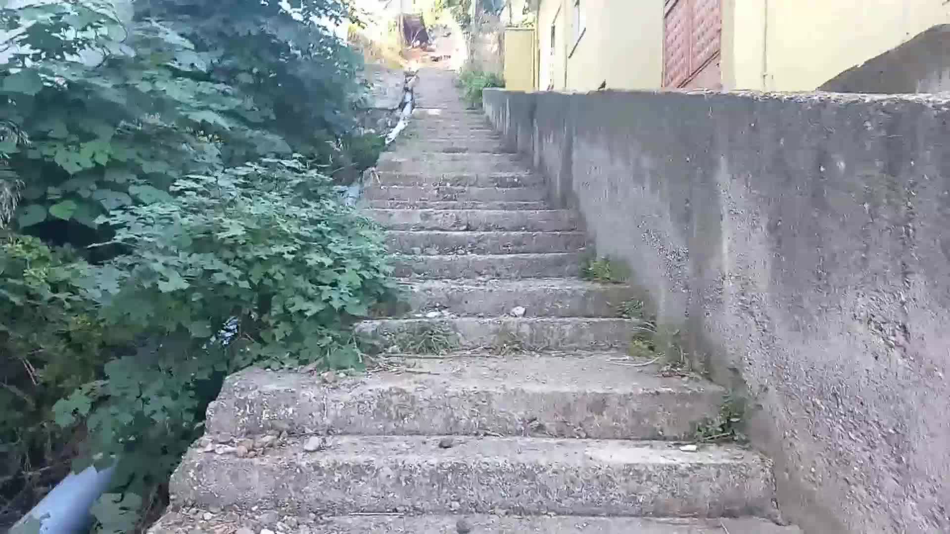 SAMSUN’UN CANİK İLÇESİNDE EVLERİNE 178 BASAMAK MERDİVEN ÇIKARAK ULAŞABİLEN VATANDAŞLAR YOL YAPILMAMASINA TEPKİ GÖSTERDİ