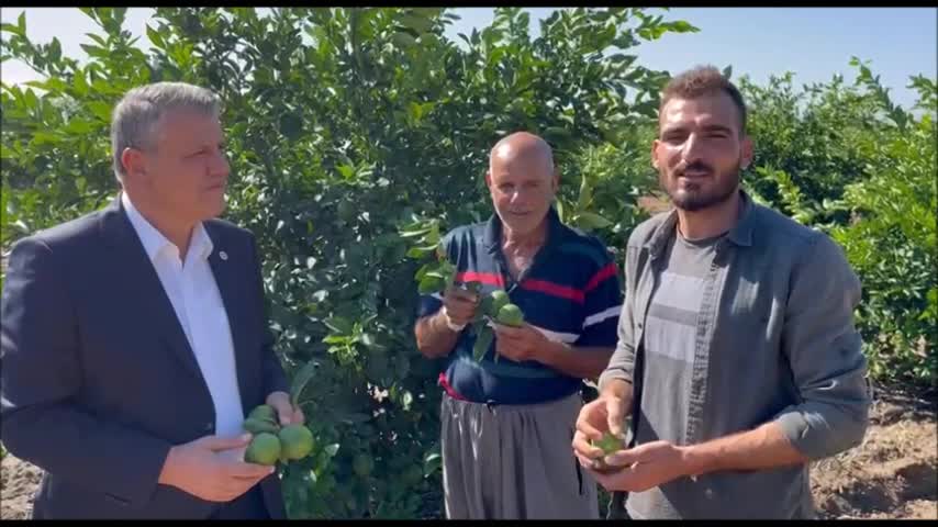 AYHAN BARUT: “LİMON ÜRETİCİSİ ÖYLE PERİŞAN Kİ AĞAÇLARINI SÖKMEYE BAŞLADILAR. BUNLARIN HEPSİ MİLLİ SERVETTİR. LİMON ÜRETİCİSİNİN PERİŞANLIĞINI GÖRÜN”
