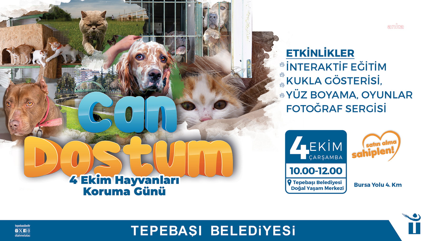 TEPEBAŞI'NDA HAYVANLARI KORUMA GÜNÜ’NE ÖZEL ETKİNLİKLER