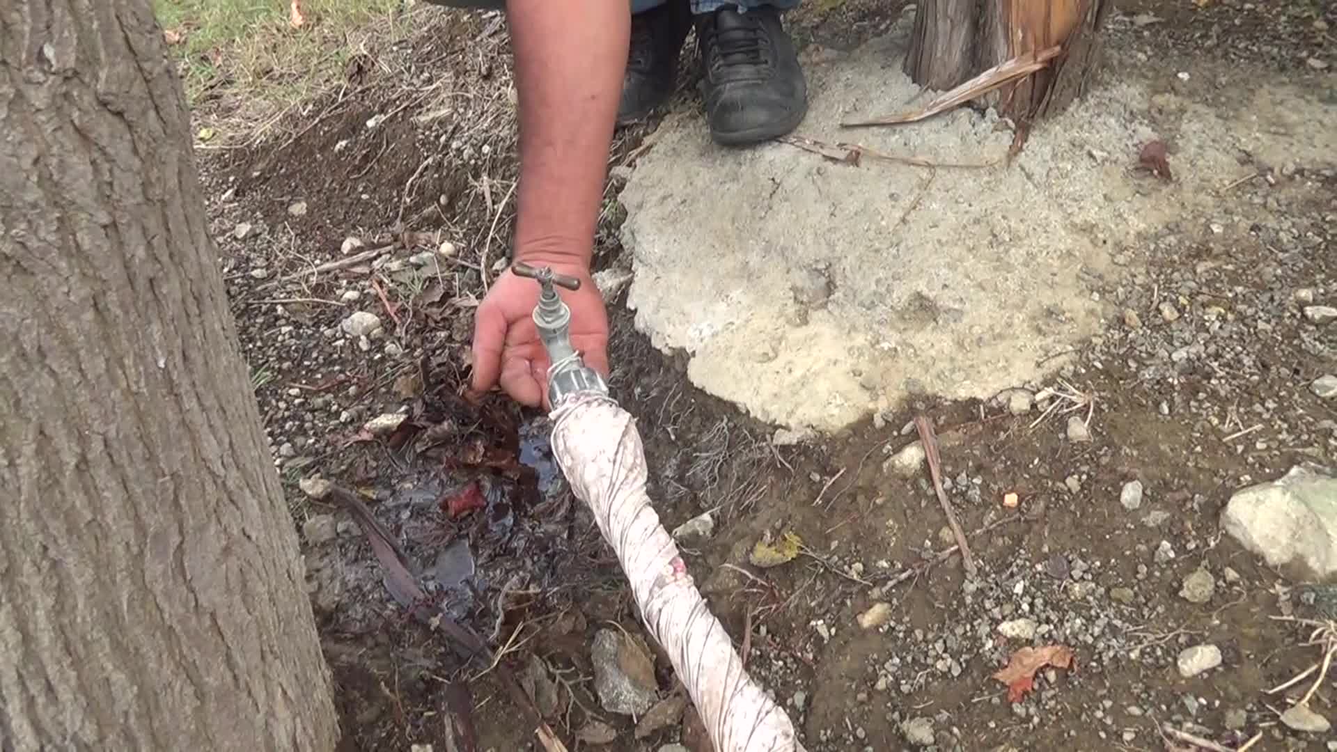 BESİCİ İBİŞ ÇAM: "175 TANE KÜÇÜKBAŞ HAYVANIM SUSUZ OLDUĞU İÇİN SATMAK ZORUNDA KALDIM"