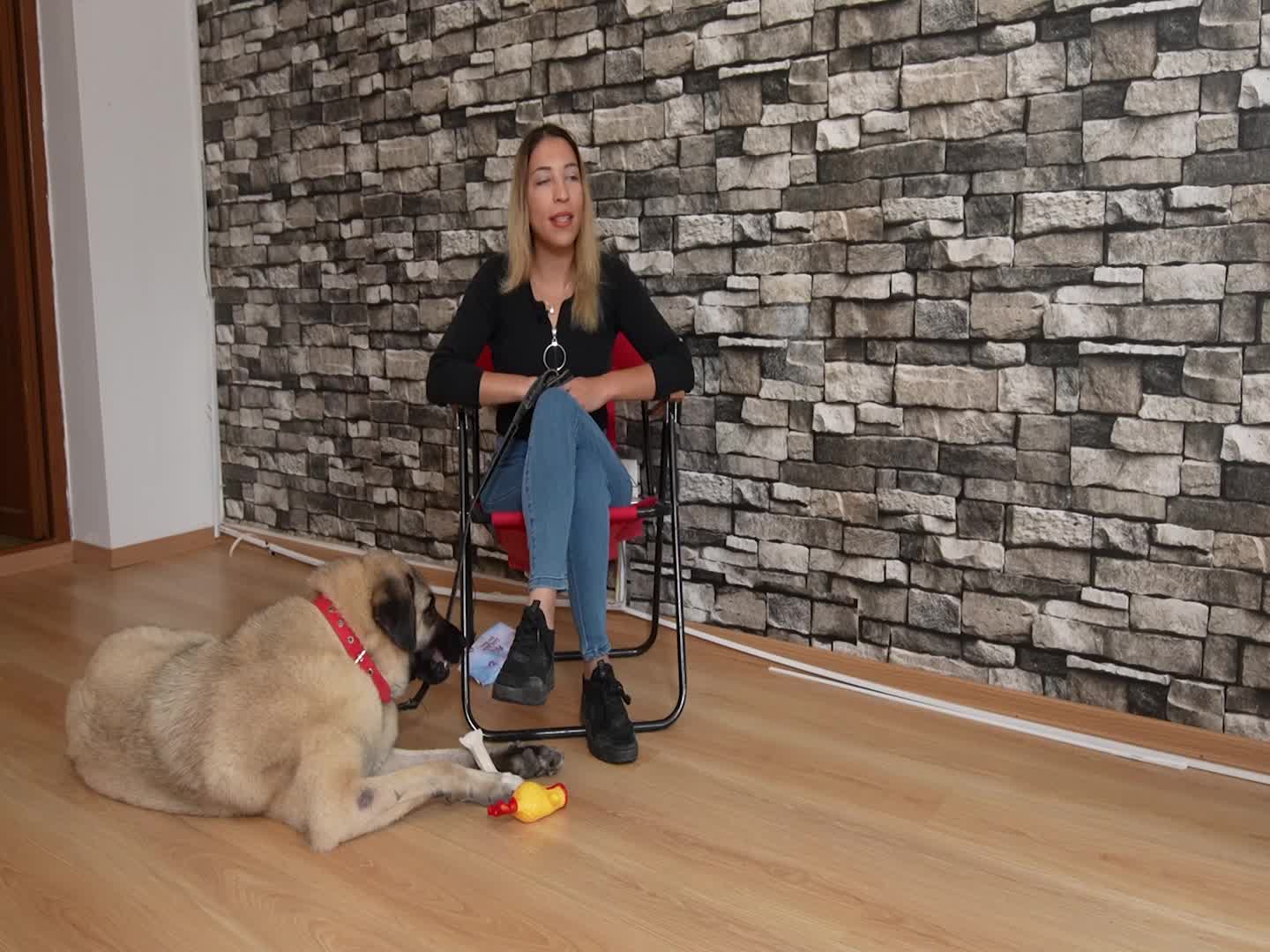 KADIKÖY BELEDİYESİ GEÇİCİ HAYVAN BAKIMEVİ'NDEN SAHİPLENDİĞİ GÖRME ENGELLİ KÖPEĞİNE EV KİRALADI