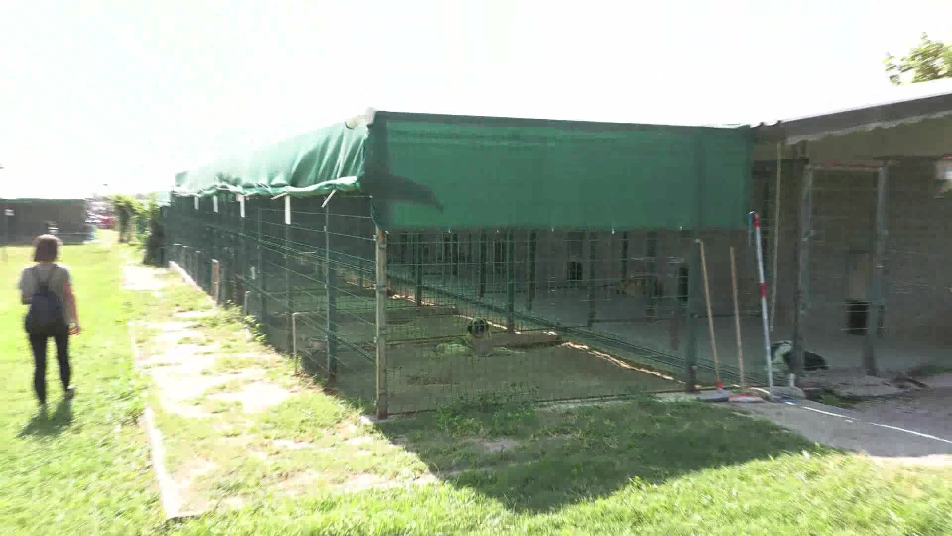 MURATPAŞA'DA ÖZEL ÇOCUKLAR SOKAK HAYVANLARINI ELLERİYLE BESLEDİ