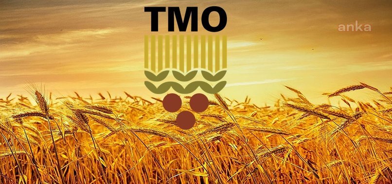 TMO BUĞDAY VE ARPA SATIŞ FİYATLARINI BELİRLEDİ