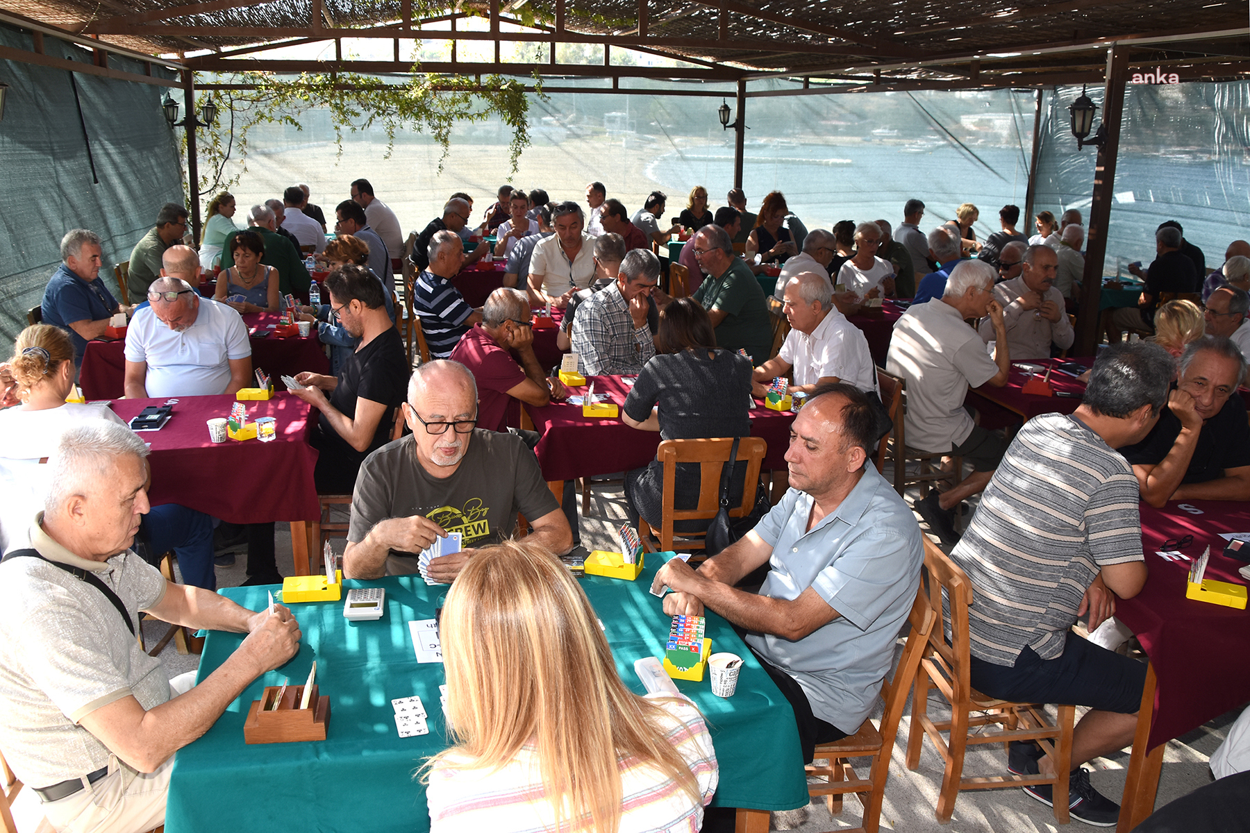 FOÇA’DA AKLIN YOLU BRİÇ
