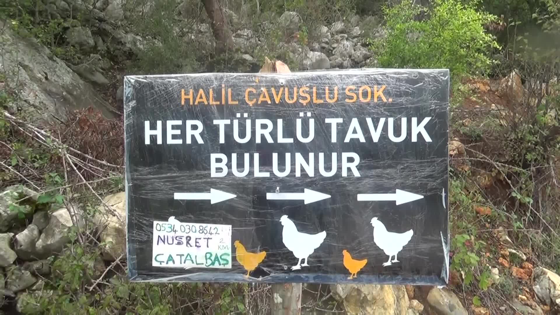 YEM FİYATLARI ARTTIĞI İÇİN TAVUKLARINI SATMAK ZORUNDA KALAN ANDIRINLI BESİCİ: "YUMURTANIN PARASI YEM FİYATLARINI KARŞILAMAZ OLDU"