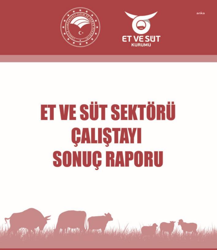 ESK'DAN ET VE SÜT RAPORU: “KIRSALDAKİLER, HANE HALKININ HAYVANSAL GIDA İHTİYAÇLARINI KENTLERDEN KARŞILAMAYA BAŞLADI”