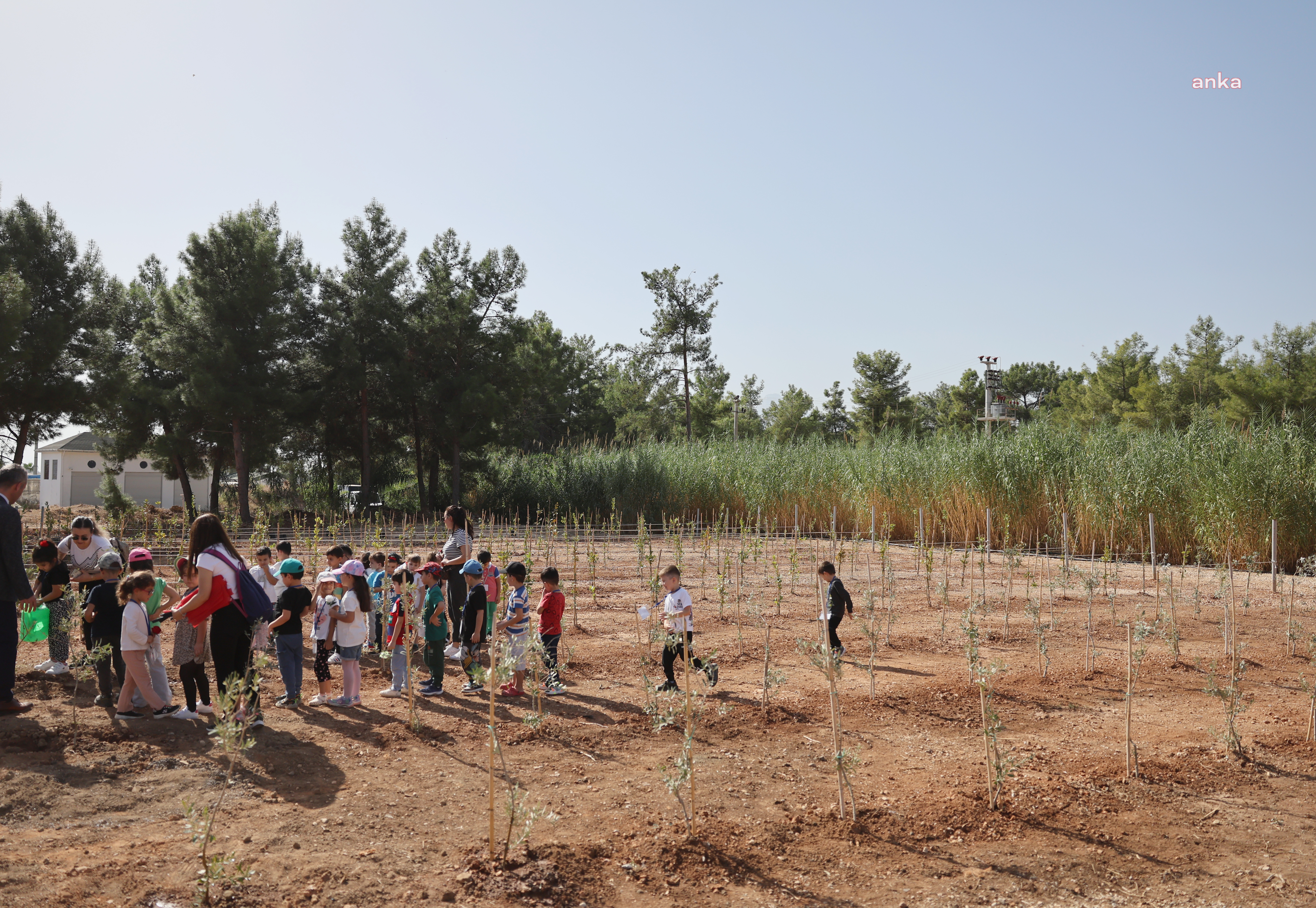 ANTALYA BÜYÜKŞEHİR BELEDİYESİ 100. YIL HATIRA ORMANI OLUŞTURDU