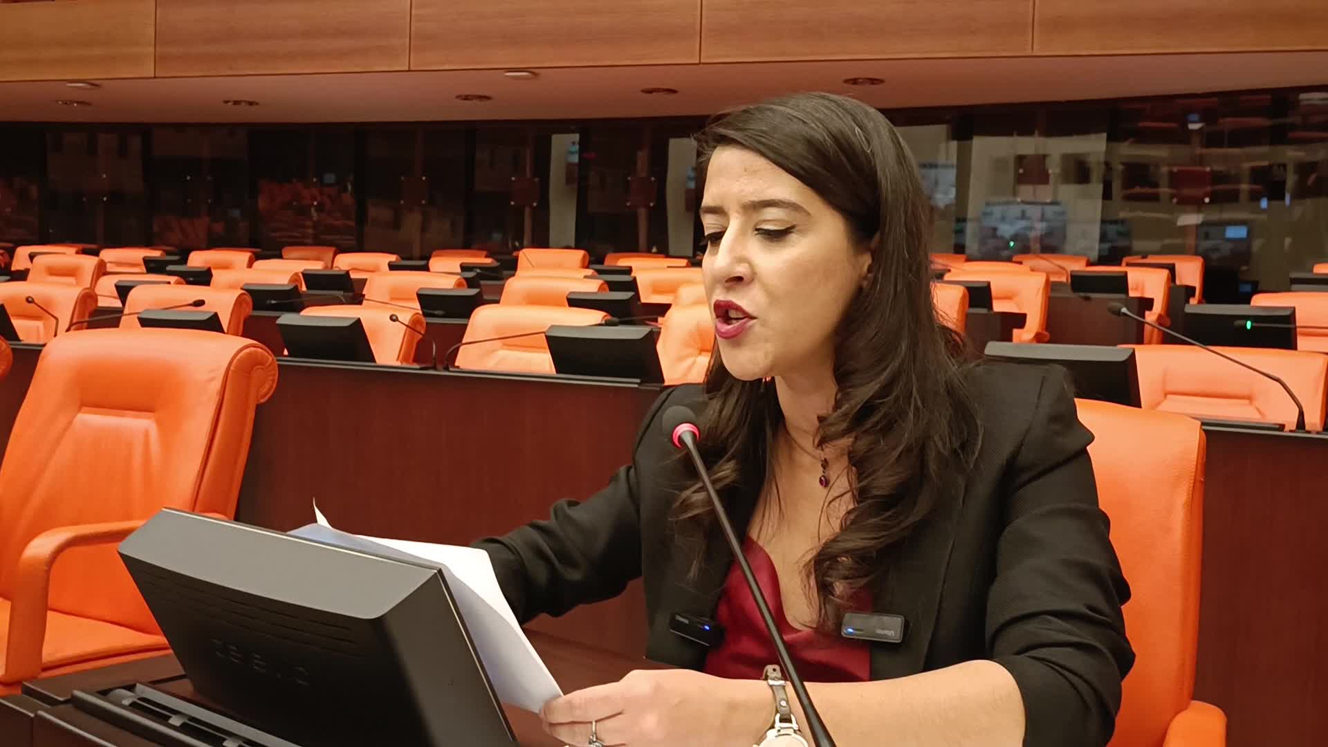SEVDA KARACA: GENÇLER KATİLLERİNİ İYİ TANIYOR, BU KARANLIĞI GENÇLER YIRTACAK