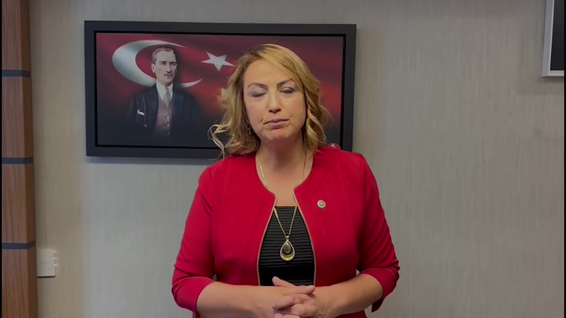 MAHKEME, HATAY’DAKİ POLİPROPİLEN TESİSİ İÇİN VERİLEN ÇED RAPORUNU İPTAL ETTİ: “PROJE ALANININ KUŞ GÖÇ YOLU ÜZERİNDE OLDUĞU DEĞERLENDİRİLDİĞİNDE YAPILAN DEĞERLENDİRMENİN YETERSİZ OLDUĞU ANLAŞILDI”