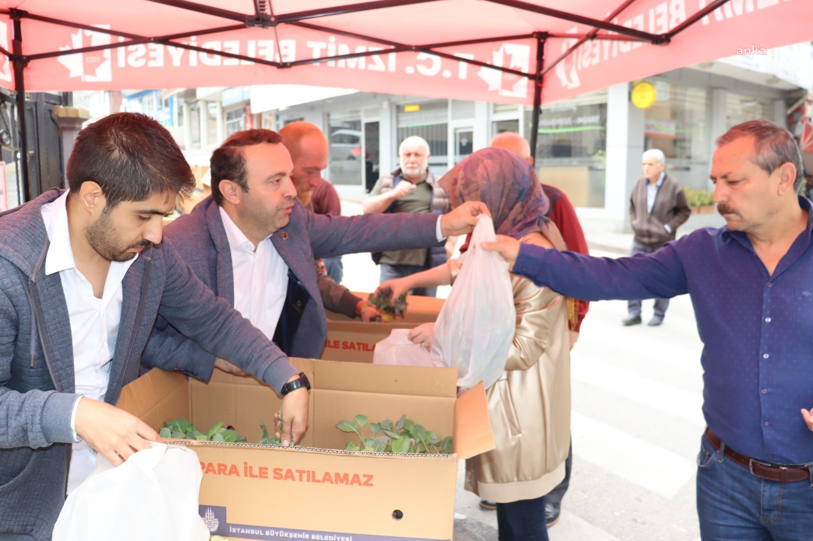 İZMİT BELEDİYESİ, İBB’DEN HİBE GELEN FİDELERİ VATANDAŞLARLA BULUŞTURDU