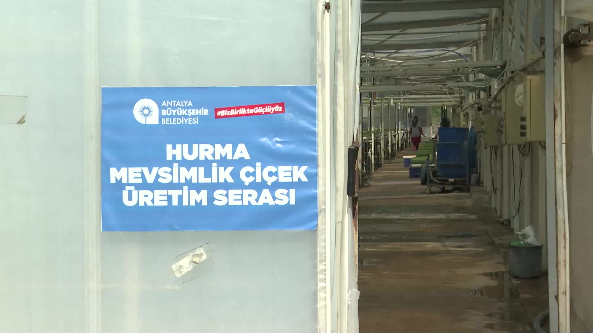 ANTALYA BÜYÜKŞEHİR, KENDİ ÜRETTİĞİ ÇİÇEK VE BİTKİLERLE YILLIK 22 MİLYON LİRA TASARRUF EDİYOR