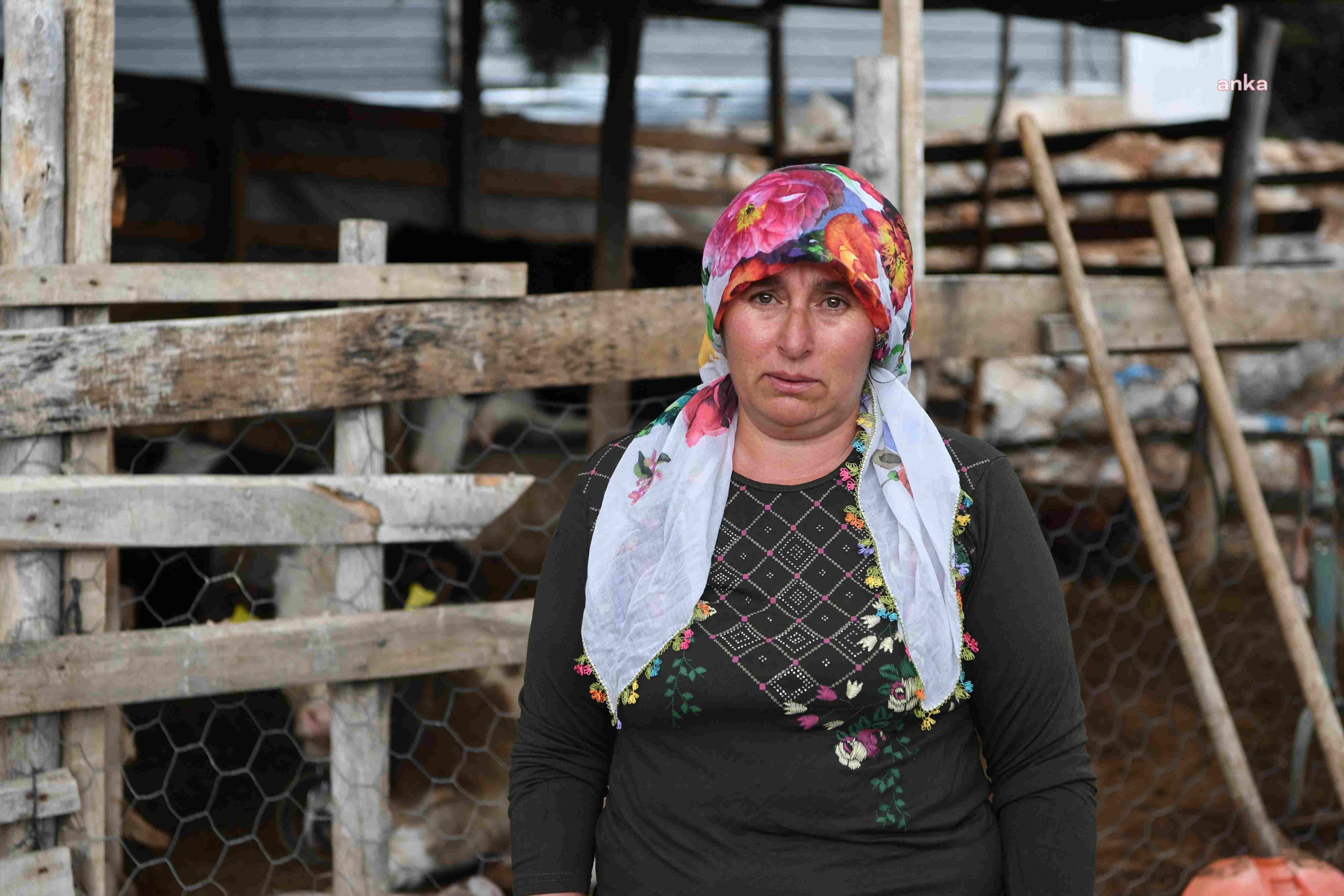 KONYAALTI BELEDİYESİ’NİN HAYVAN YETİŞTİRİCİLERİNE DESTEĞİ SÜRÜYOR