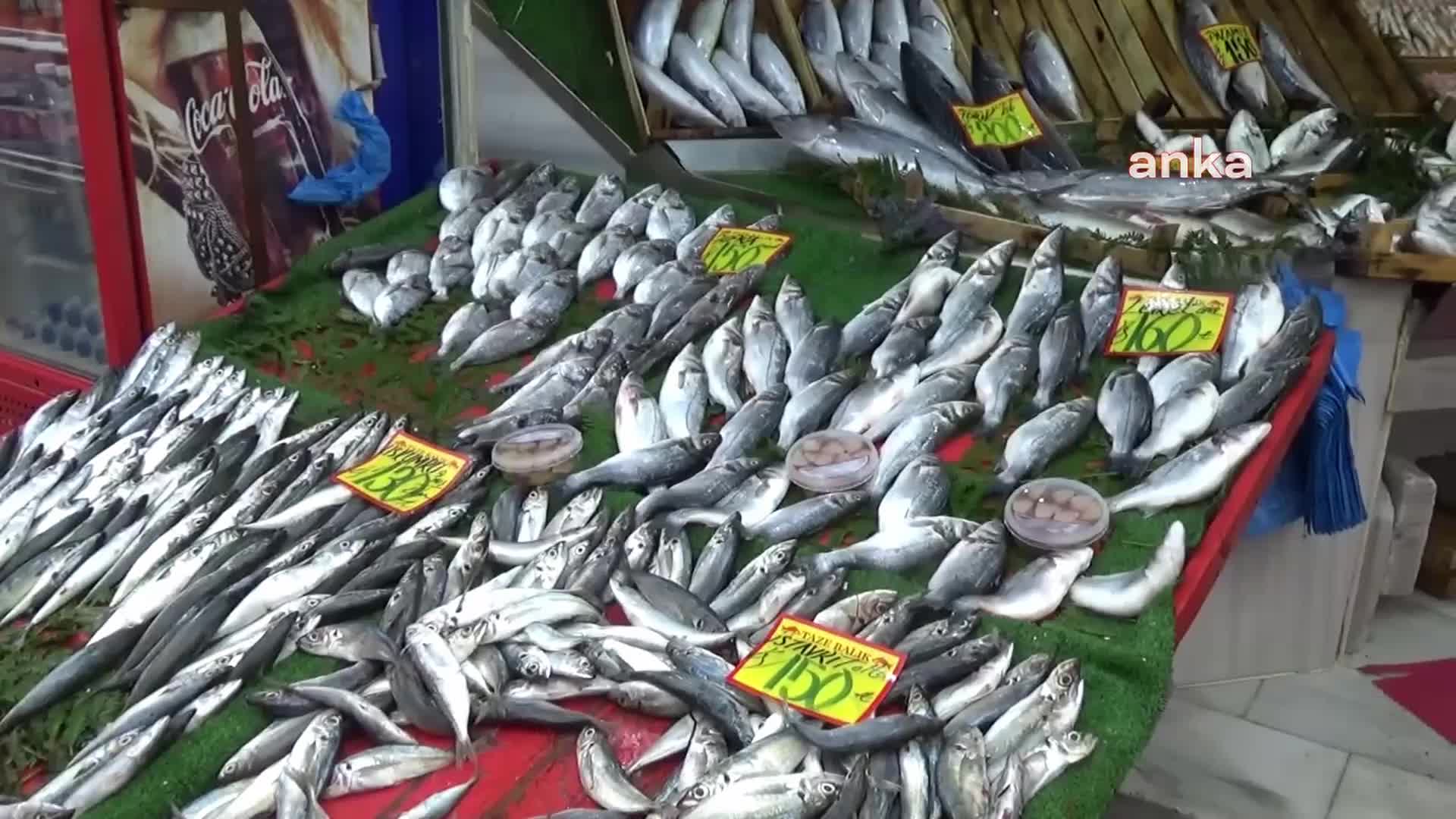 EDİRNE'YE GELEN BULGAR TURİSTLERİN BALIK ALIŞVERİŞİ ARTTI