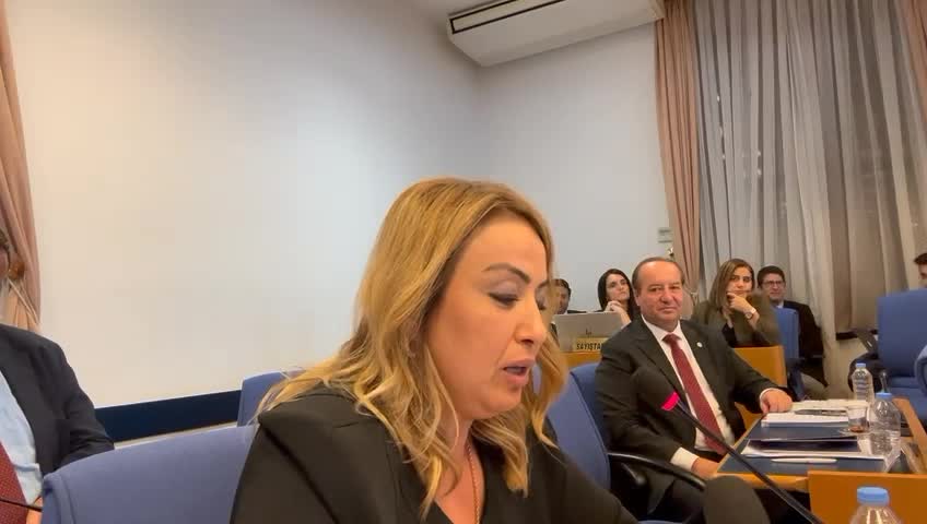 NERMİN YILDIRIM KARA: "HATAY'IN TÜM TEKNİK SEKTÖRLERİ KAPSAYAN ENTEGRE BİR KALKINMA PROJESİ OLAN GAP'A DAHİL EDİLMİŞ OLMASI GEREKİR"