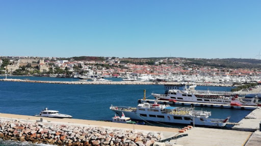 ÇEŞME'DE KORONOVİRÜSE KARŞI LİMAN PROTESTOSU