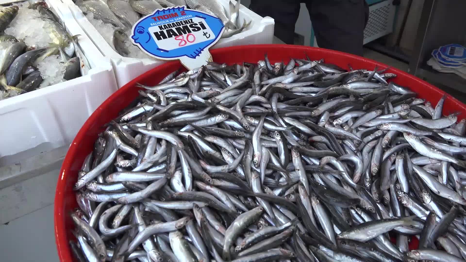 AKSARAY BALIKÇILAR KOOPERATİF BAŞKANI KAYA: "BALIK HALİ İSTİYORUZ"