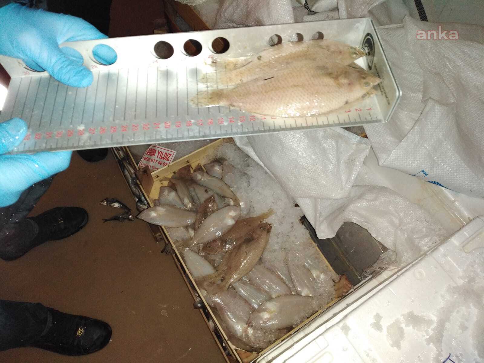 TARIM BAKANLIĞI’NDAN BALIK OPERASYONU: 7 TON SU ÜRÜNÜNE EL KONULDU
