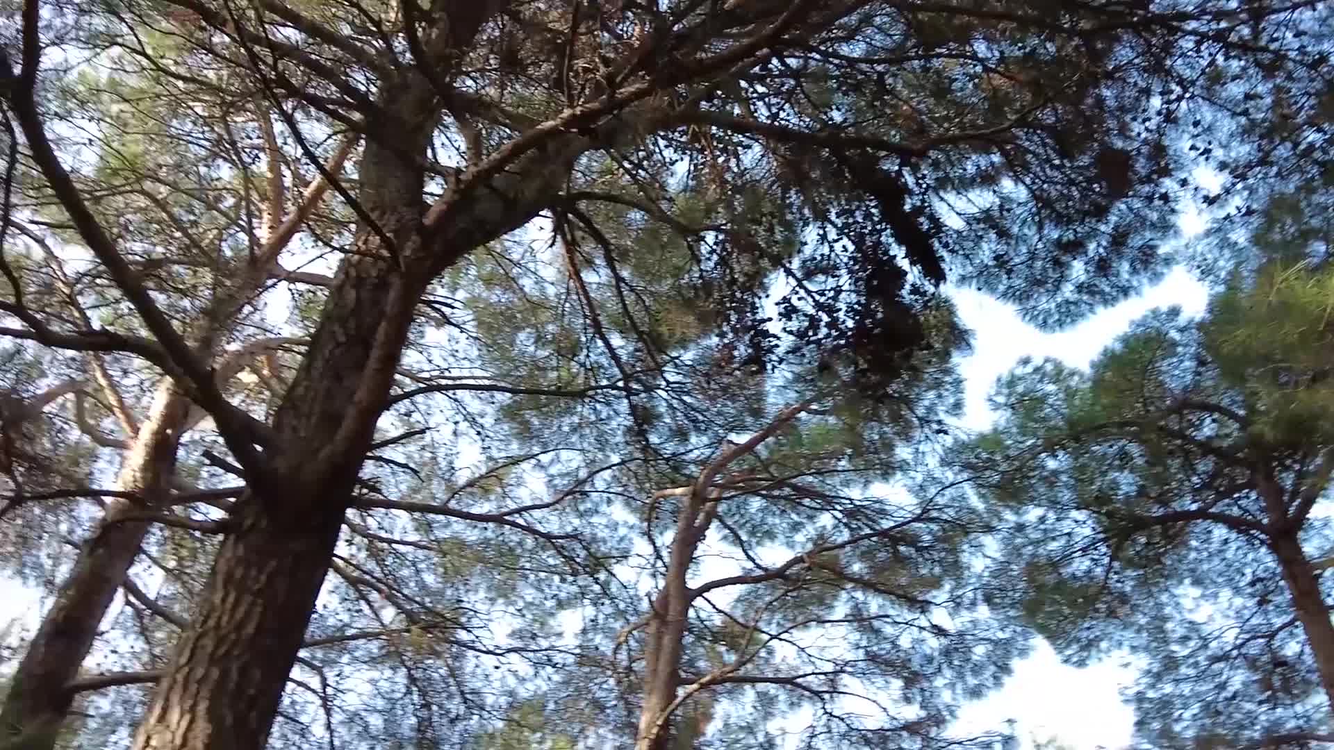 BORNOVA'YA YEŞİL HİZMET