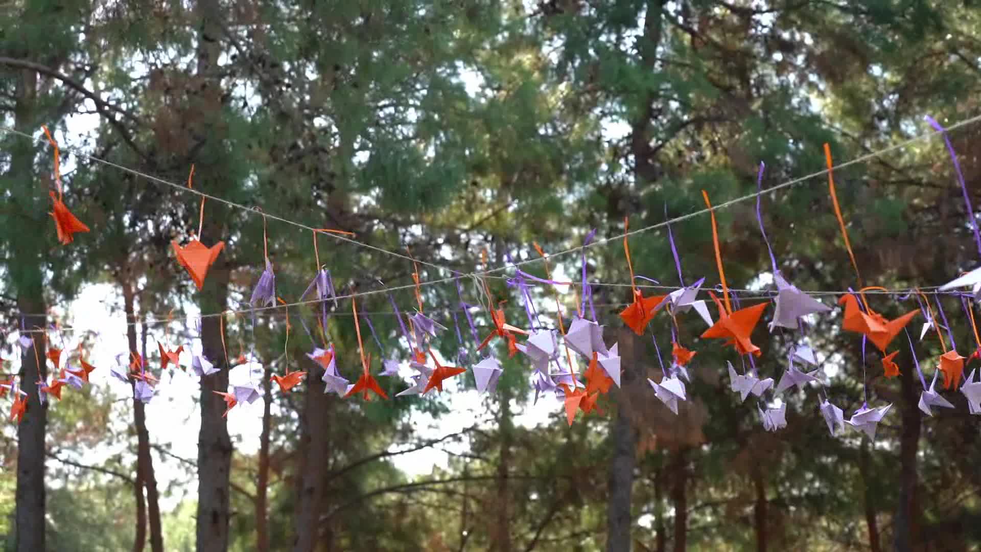KONYAALTI'NDA KADINLAR, ŞİDDETE KARŞI 1000 TURNA ALTINDA BULUŞACAK