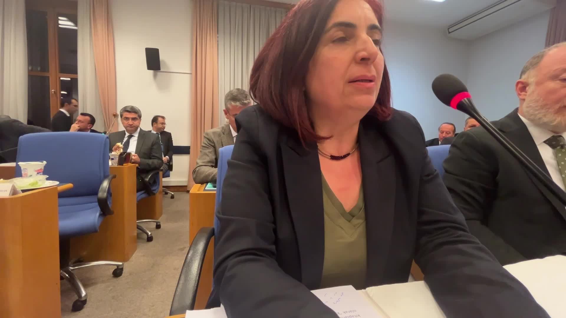 SEVİLAY ÇELENK: 20'Sİ AYNI MANŞETLE ÇIKAN GAZETE, 15'İ AYNI ANDA NAKLEN YAYIN YAPAN TELEVİZYONLAR VAR. BUNLARIN HEPSİ AKP TELEVİZYONLARI, AKP GAZETELERİ