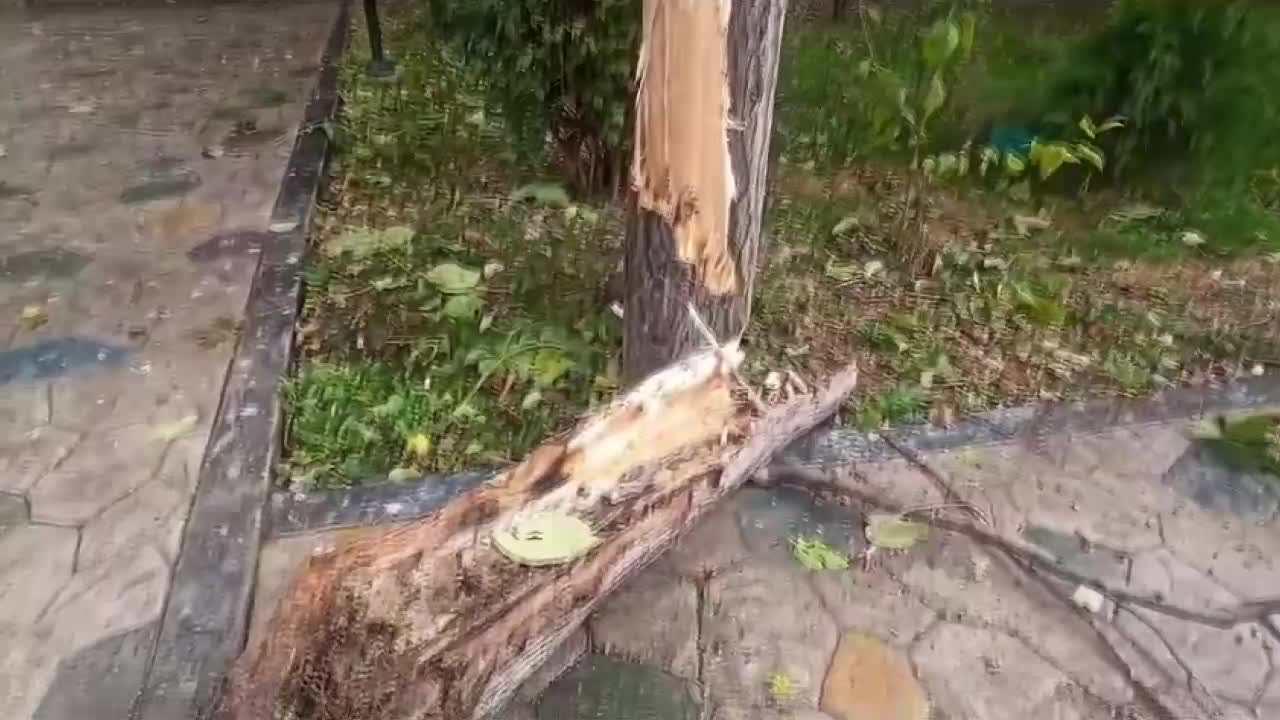 ÇORUM'DA ŞİDDETLİ FIRTINA AĞAÇLARI DEVİRDİ, ÇATILARI UÇURDU