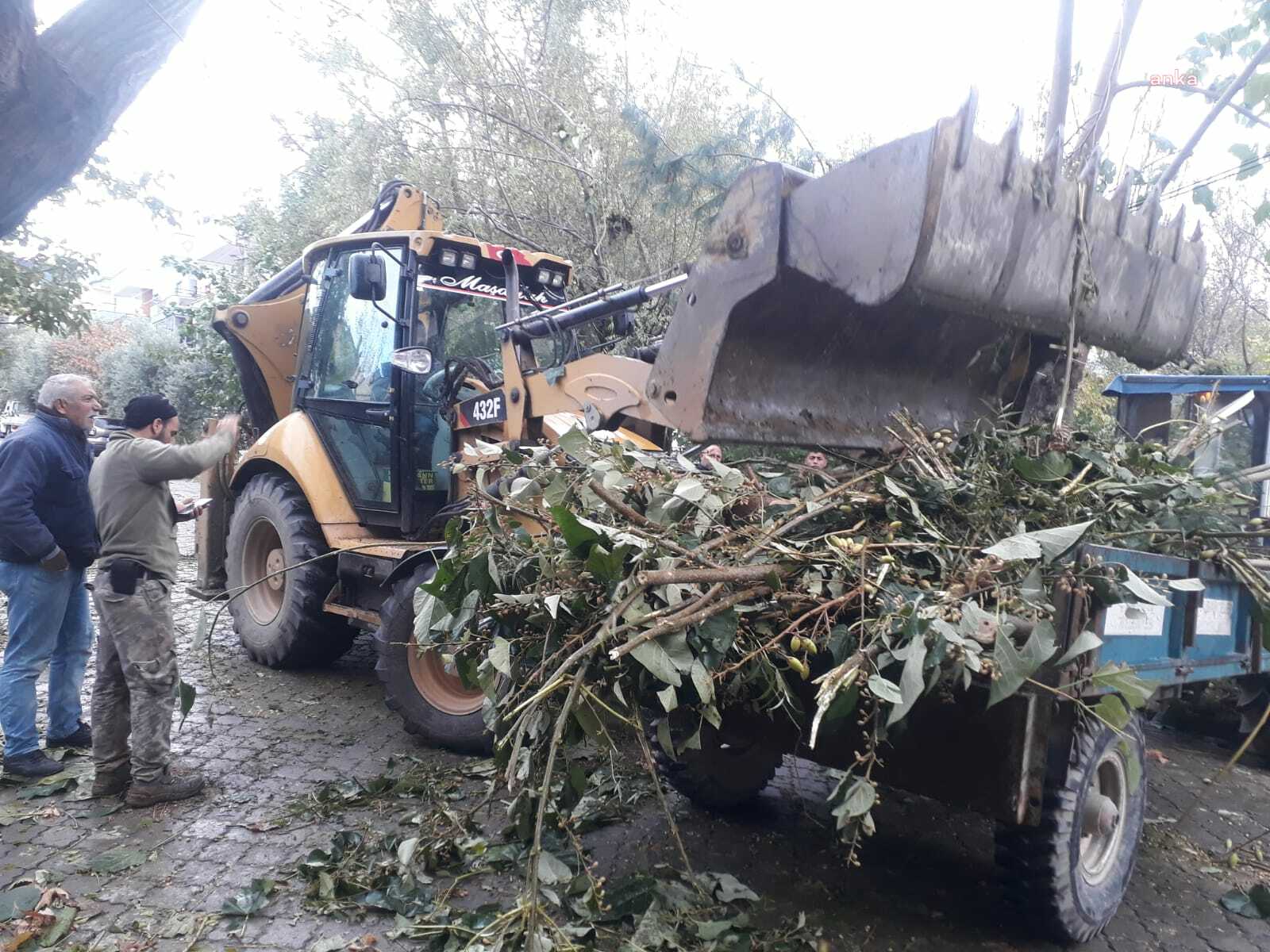 TURGUTLU BELEDİYESİ EKİPLERİNDEN DEVRİLEN AĞAÇLARA ANINDA MÜDAHALE