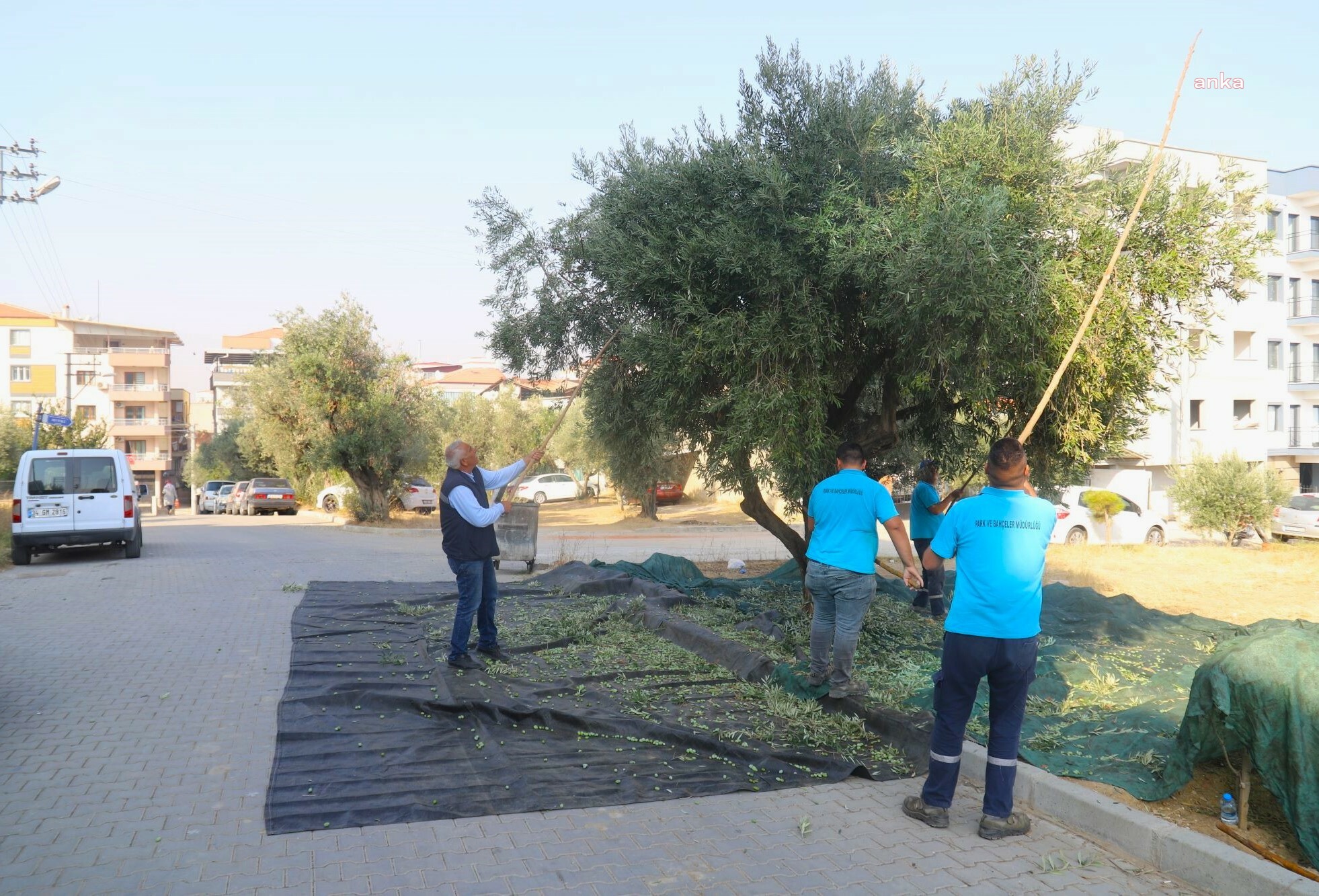 TURGUTLU BELEDİYESİ TOPLUYOR, İŞLEYİP VATANDAŞIN SOFRASINA ULAŞTIRIYOR