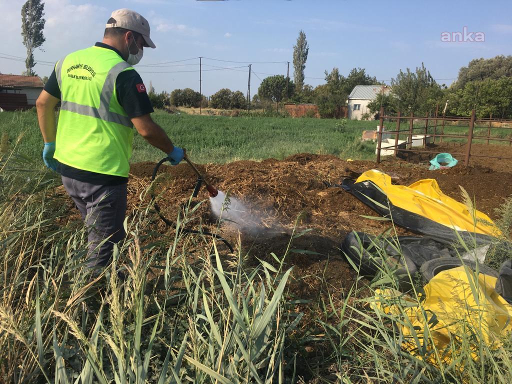 BURHANİYE'DE HAYVAN ÇİFTLİKLERİ İLAÇLANIYOR