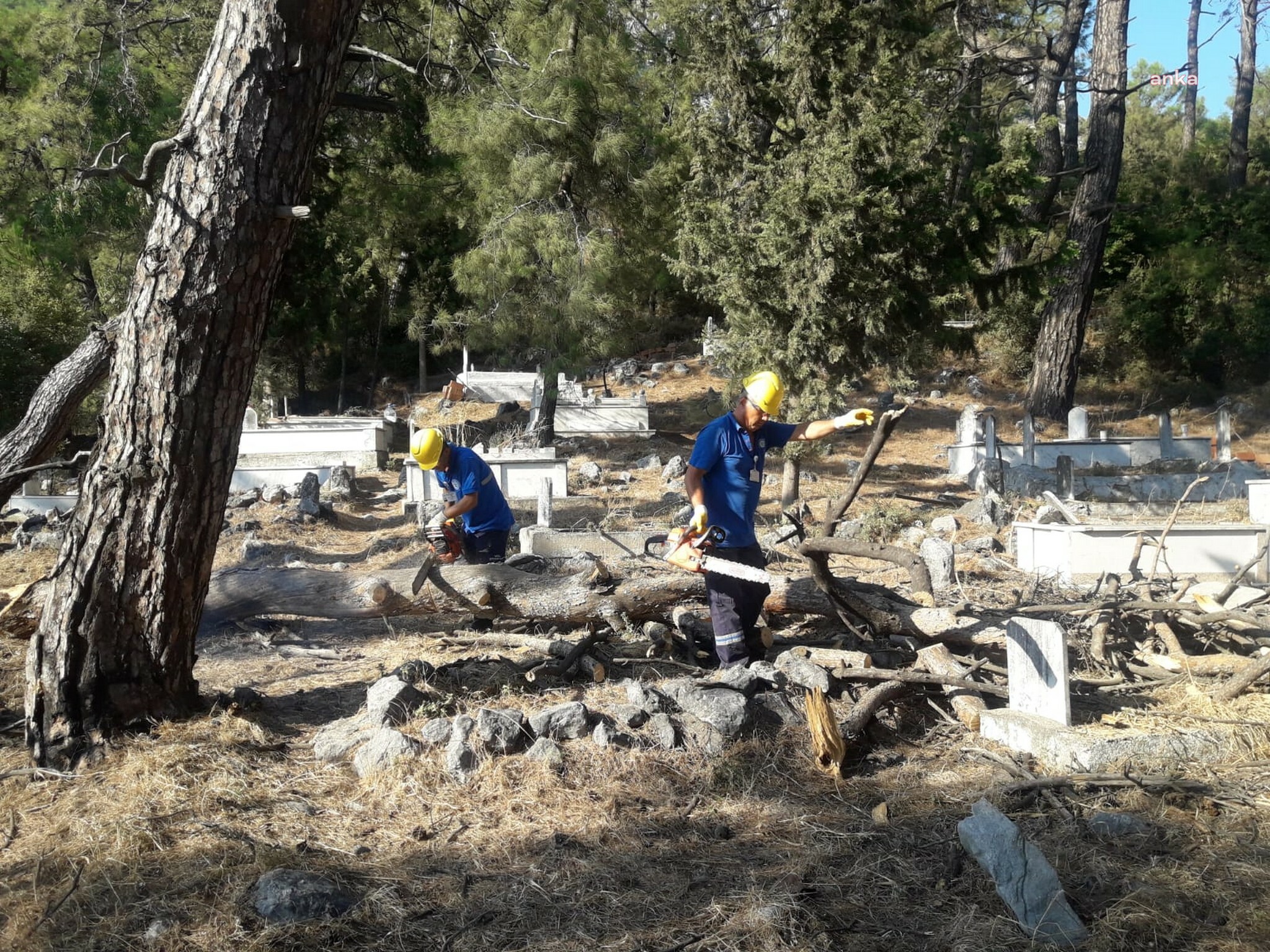 MUĞLA BÜYÜKŞEHİR KARA KIŞ YARDIMLARI İLE VATANDAŞIN YANINDA