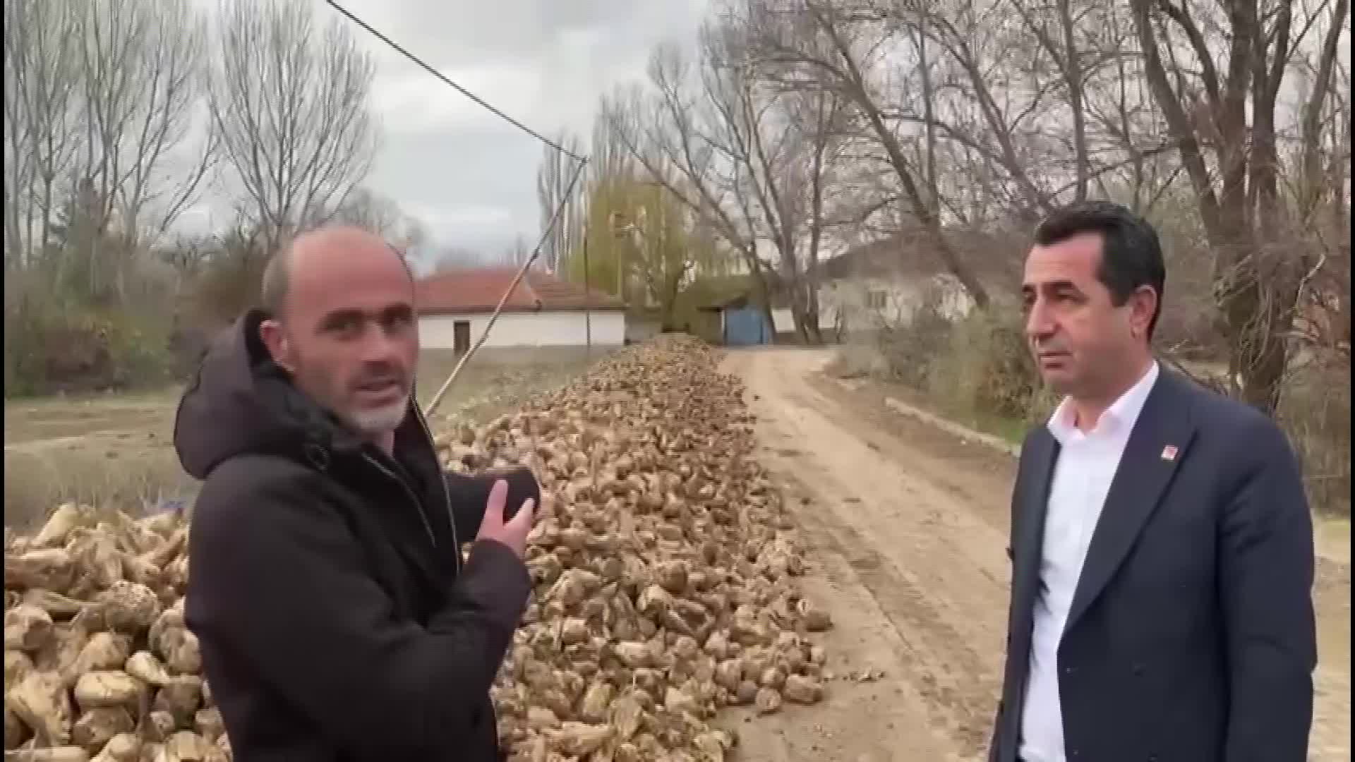 YOZGATLI ŞEKER PANCARI ÜRETİCİLERİ: "FABRİKALAR ALMADIĞI İÇİN 40 BİN TON ŞEKER PANCARI TARLALARDA BEKLİYOR. YAĞMURLARLA BERABER MAHSÜLÜN ÇÜRÜME İHTİMALİ VAR"