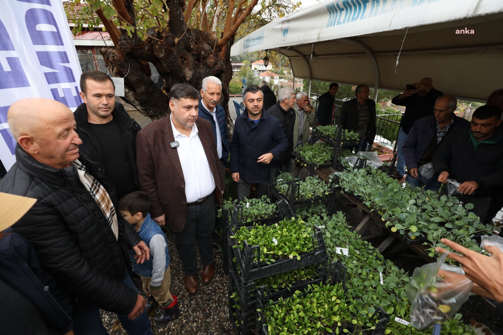 MENDERES BELEDİYESİ ÜRETİCİLERE  10 BİN FİDE DAĞITTI