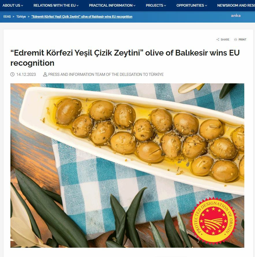 EDREMİT KÖRFEZİ YEŞİL ÇİZİK ZEYTİNİ AB TARAFINDAN TANINDI