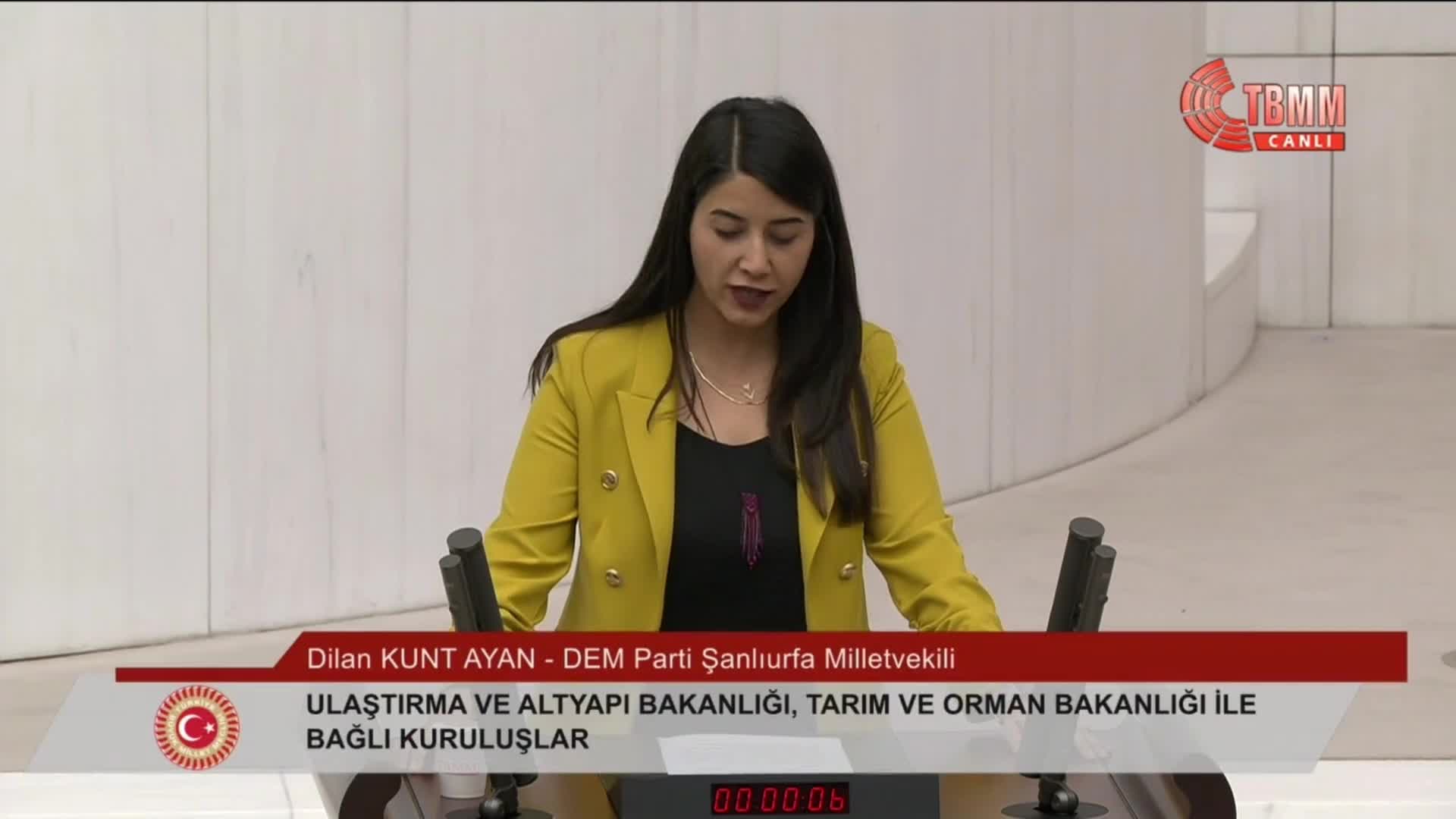 DEM PARTİLİ AYAN: "BİLET FİYATLARI ALMIŞ BAŞINI GİTMİŞ, HALK DÜĞÜNÜNE, CENAZESİNE GİDEMİYOR, UZAYA ÇIKACAĞIZ DİYORSUNUZ"