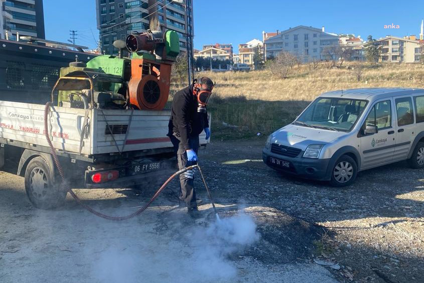ÇANKAYA’DA DÖRT MEVSİM İLAÇLAMA