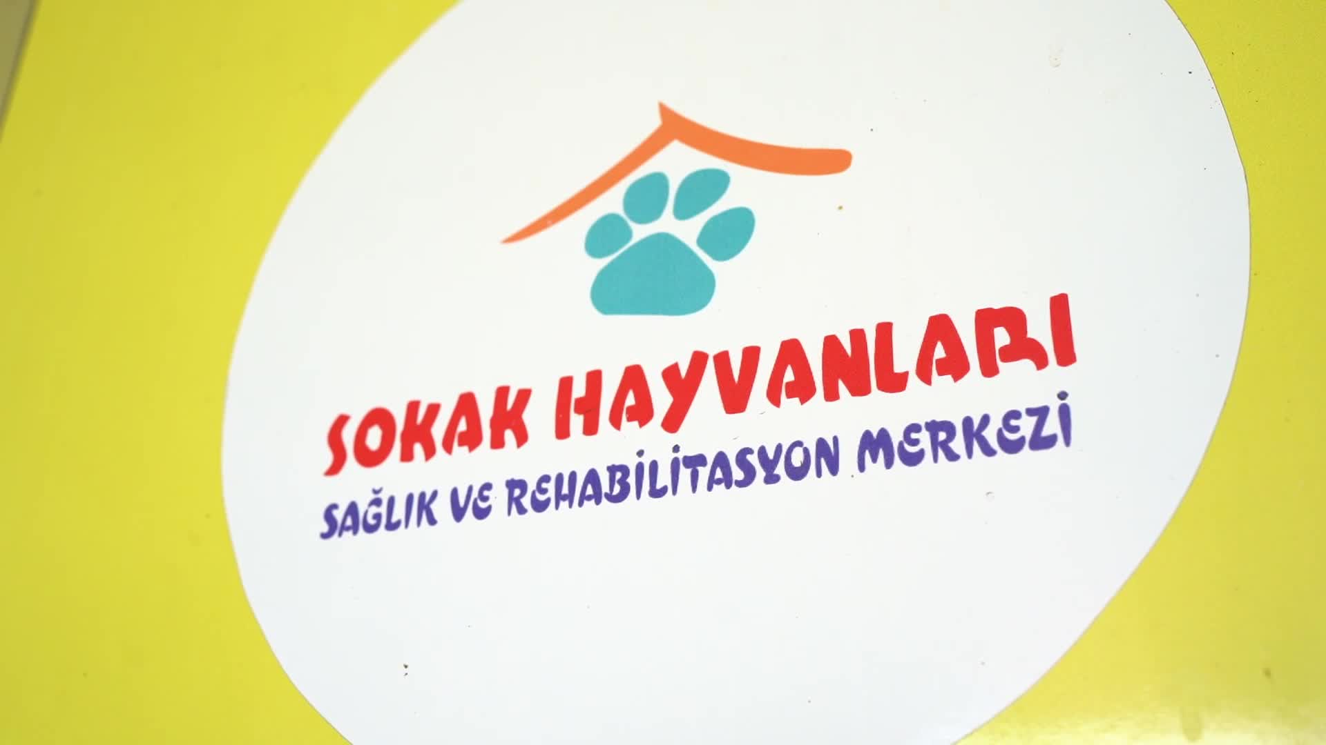 KONYAALTI’NDA PATİLİ DOSTLAR EMİN ELLERDE