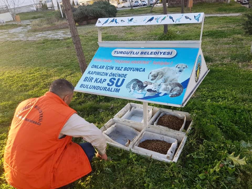 YAŞLI ADAMI ZORLA DURDURUP, BAŞINA KOLONYA DÖKEN KİŞİ GÖZALTINA ALINDI