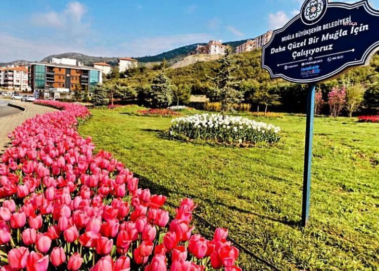 MUĞLA BÜYÜKŞEHİR YEŞİL ALAN MİKTARINI İL GENELİNDE YÜZDE 92 ARTIRDI