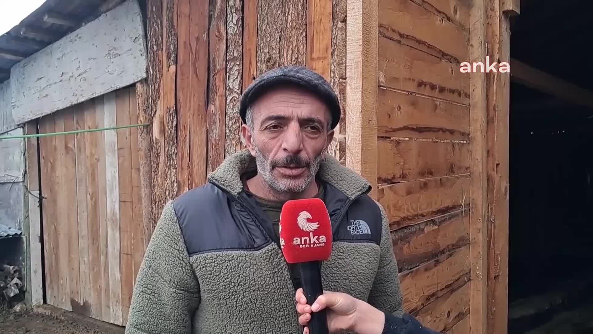 ARTVİNLİ BESİCİ: "KENDİ KÖYÜMDE OLMADIĞI İÇİN İLÇEYE YAKIN YERDE AHIR KİRALADIM. 50 BİN LİRA AHIR PARASI ÖDÜYORUM"