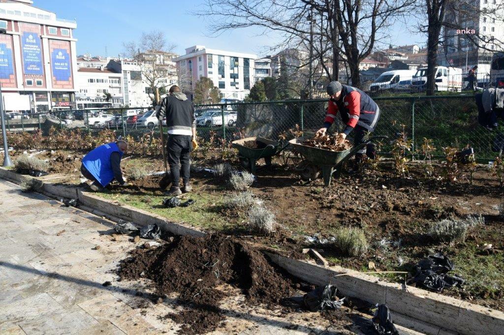 KDZ. EREĞLİ, LAVANTA KOKACAK
