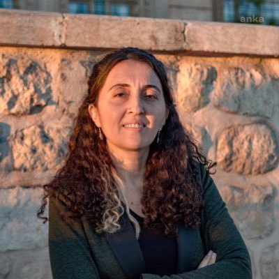 HDP'Lİ GÜNAY: TTB'NİN YANINDAYIZ, BU SOKAK KABADAYILIĞINA EYVALLAH ETMEYİZ