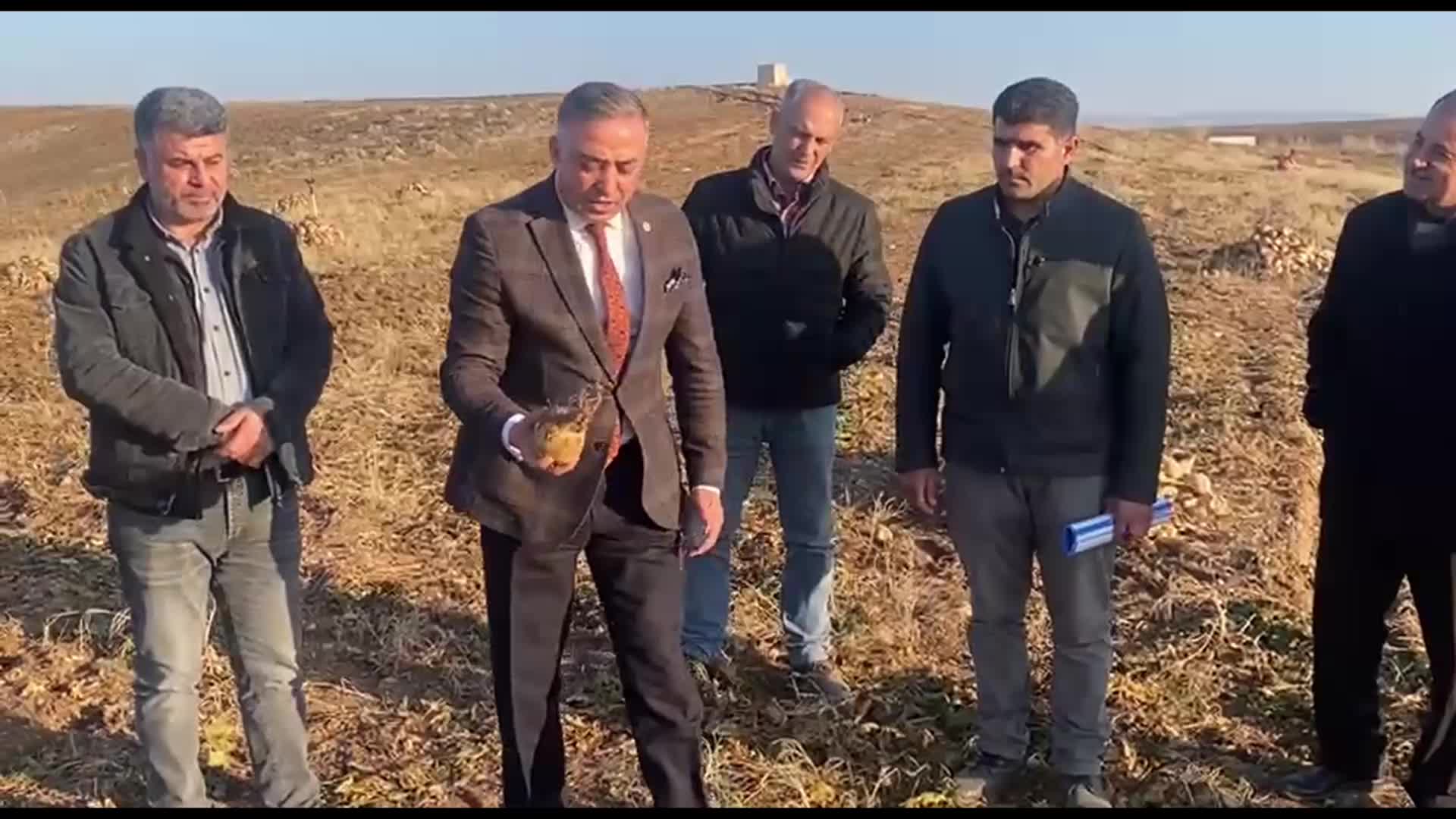 ÇORUMLU ŞEKER PANCARI ÜRETİCİLERİ: “SAFİ ŞEKER KENDİ HATASINDAN KAYNAKLANAN ZARARI YİNE BİZE YÜKLÜYOR. BU ZARARI KONYA’DAN ŞEKER PANCARI ALARAK KAPATMAYA ÇALIŞIYORUZ”