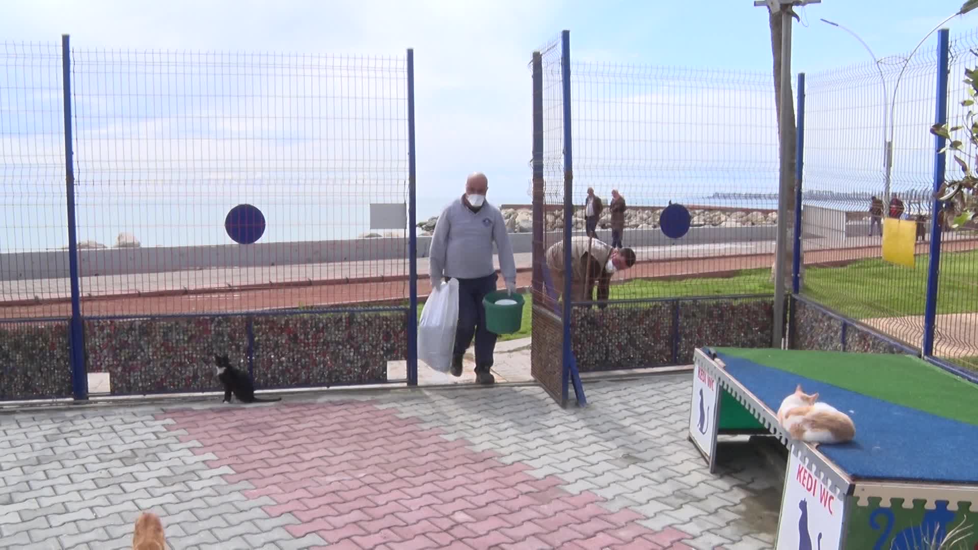 MERSİN BELEDİYESİ KORONAVİRÜS’E KARŞI ALDIĞI ÖNLEMLERDE SOKAK HAYVANLARINI DA UNUTMUYOR