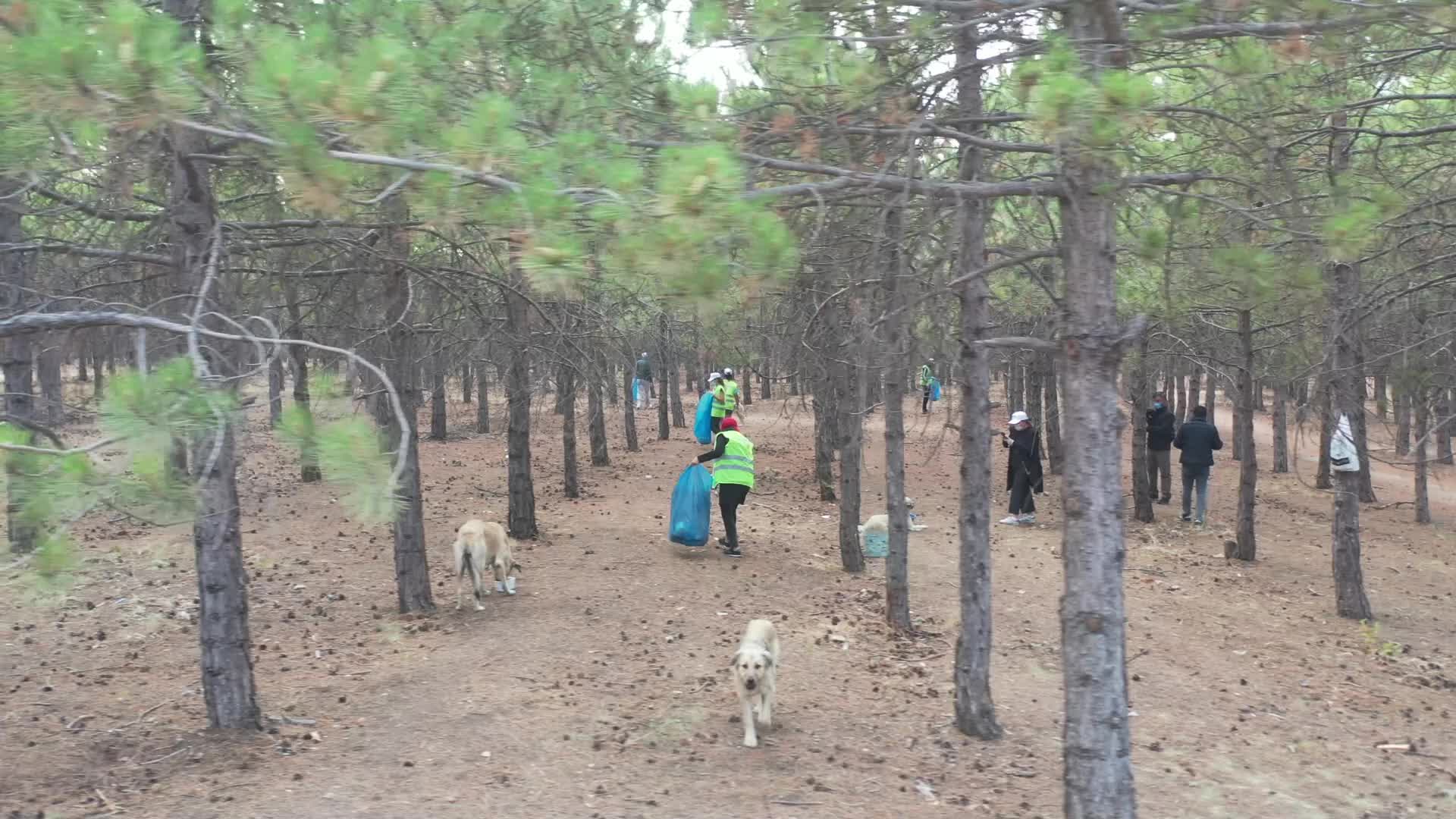 BAŞKENT HAYVANLARA VE DOĞAYA SAHİP ÇIKIYOR