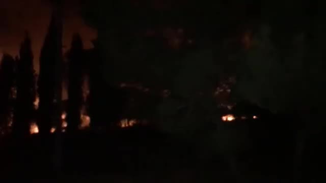 AYVALIK’TA ORMAN YANGINI KONTROL ALTINA ALINDI: 80 HEKTAR ALAN KÜL OLDU