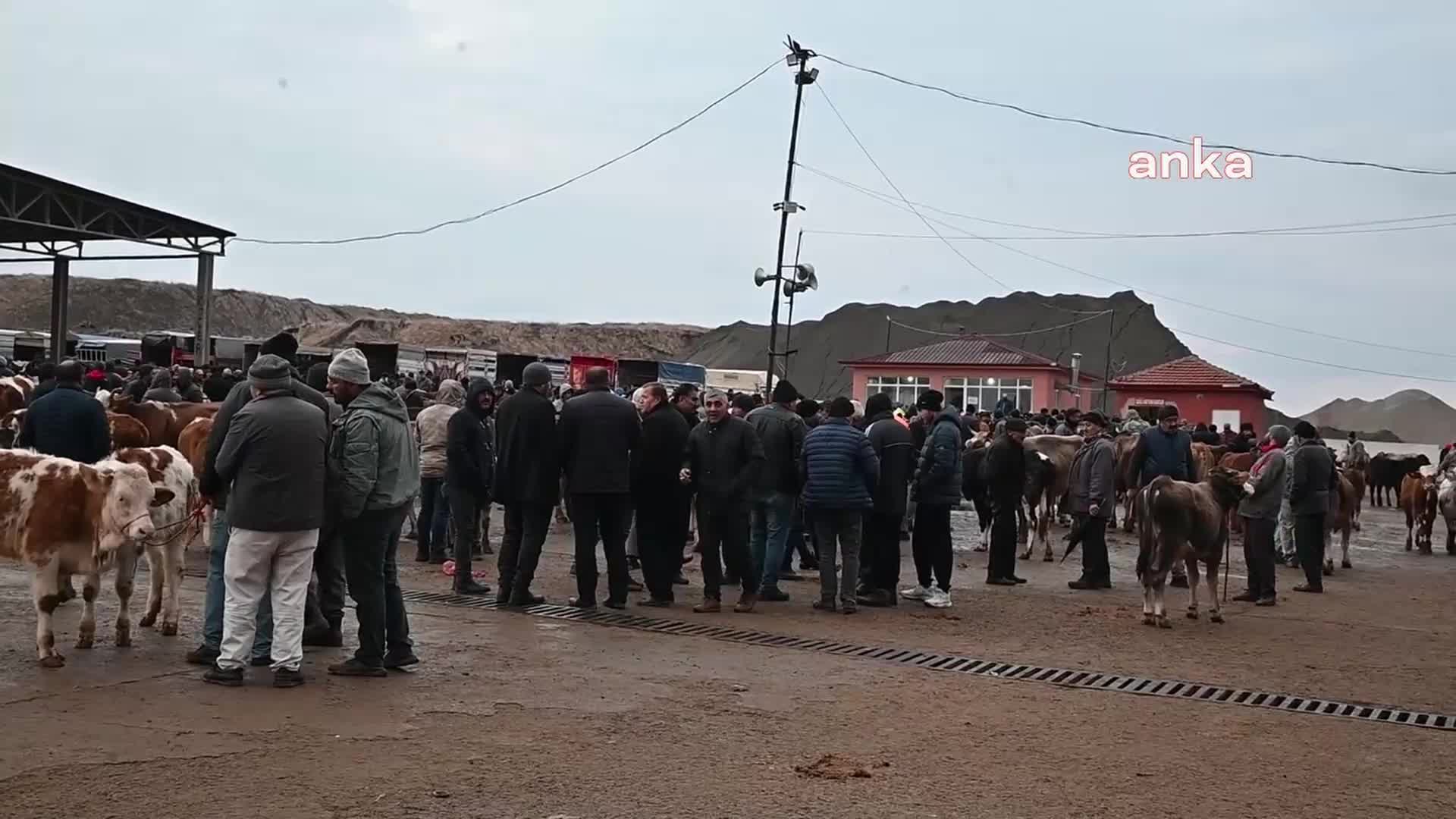 YOZGAT’TA CANLI HAYVAN PAZARLARI TEDBİR AMAÇLI YARINDAN İTİBAREN KAPATILIYOR