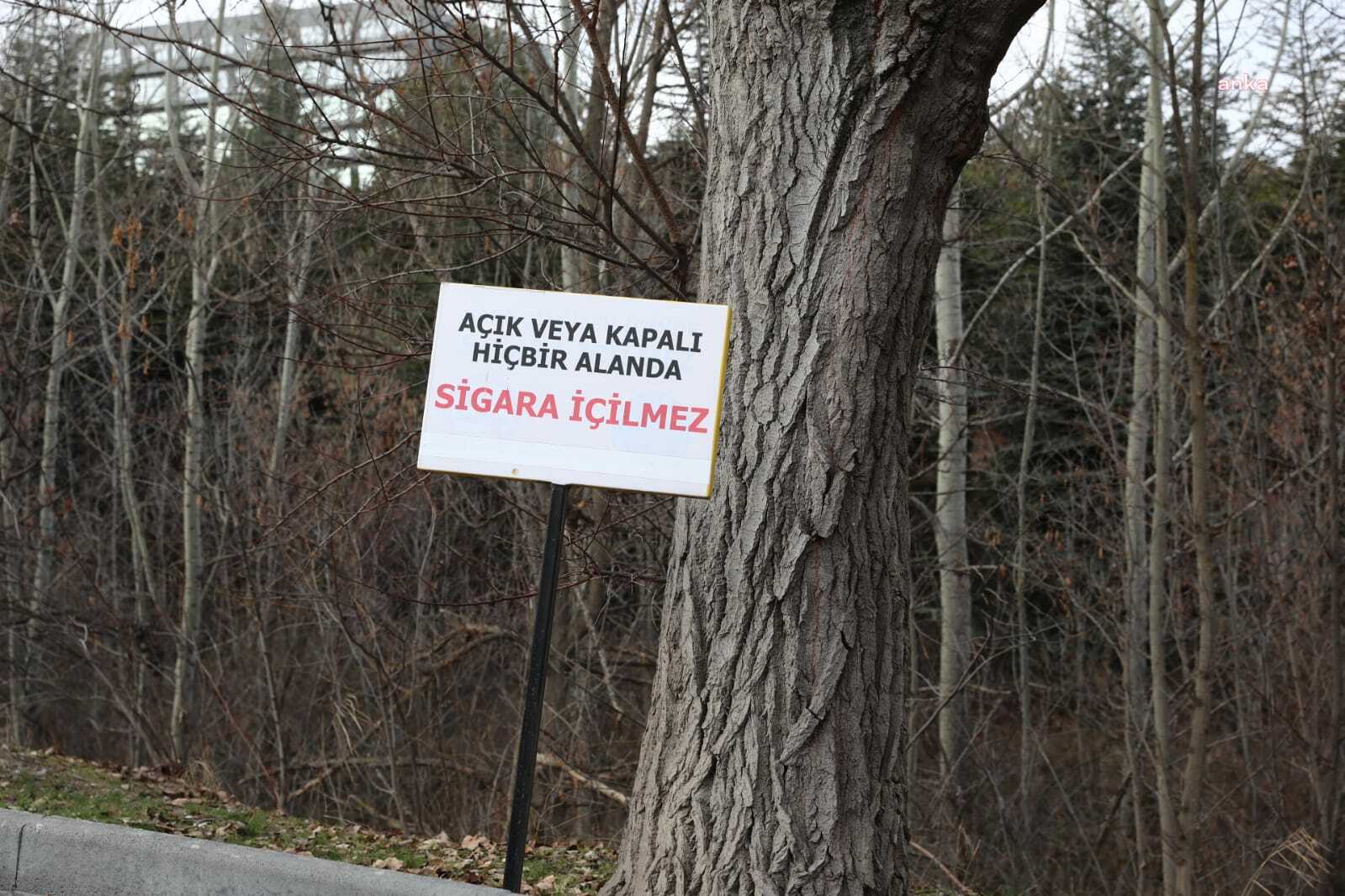 YÖK: “TÜRKİYE’DEKİ ÜNİVERSİTELERDEN 130’UNUN AÇIK ALANLARININ YÜZDE 44,3’Ü ‘DUMANSIZ HAVA SAHASI’ İLAN EDİLDİ”