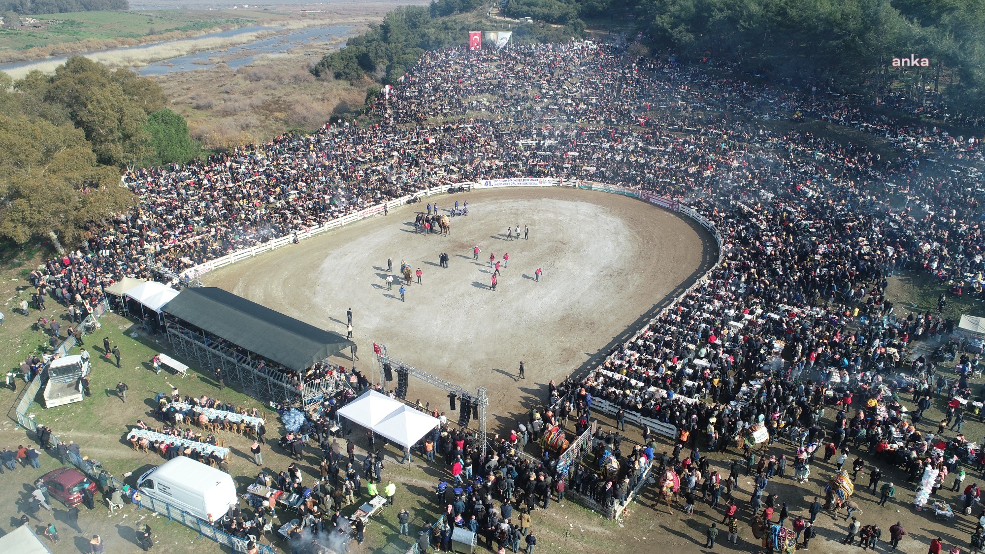 GELENEKSEL DEVE GÜREŞLERİ FESTİVALİ 21 OCAK’TA EFES SELÇUK’TA BAŞLIYOR
