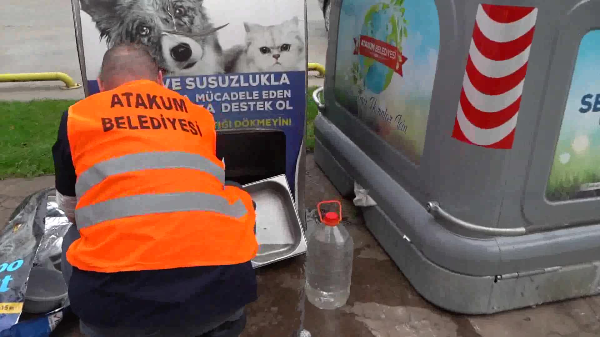ATAKUM BELEDİYESİ’NDEN PATİLİ DOSTLARA SEVGİ VE MAMA DOLU DESTEK